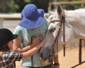 פעילויות לילדים בחנוכה, חוות רכיבה ורד הגליל